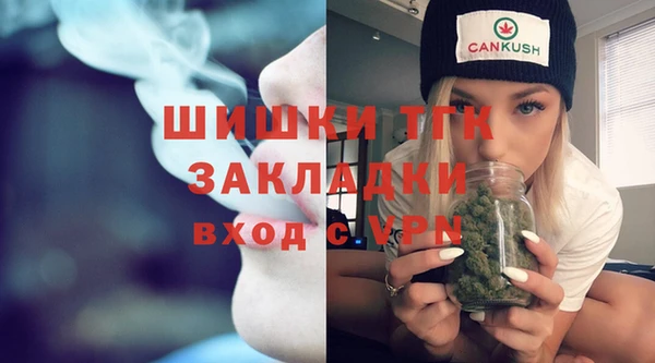 PSILOCYBIN Богданович