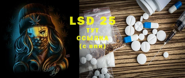 PSILOCYBIN Богданович
