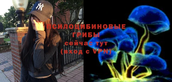MDMA Premium VHQ Богородицк