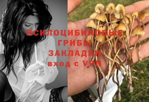 PSILOCYBIN Богданович
