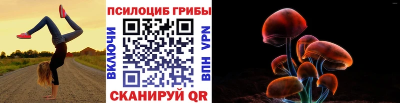 закладки  Острогожск  Псилоцибиновые грибы мухоморы 